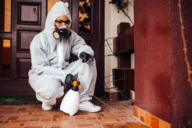 Attic and Crawl Space Rodent Treatment in Trent Woods