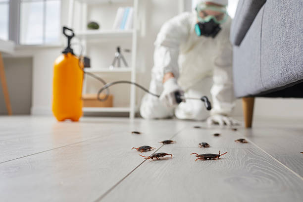Commercial Rodent Management in Trent Woods